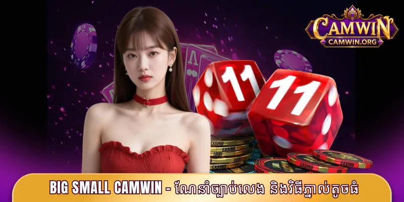 Big Small CAMWIN - ណែនាំច្បាប់លេង និងវិធីភ្នាល់តូចធំ 1 Big Small CAMWIN
