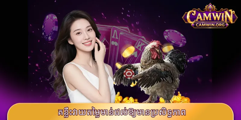 គន្លឹះវាយតម្លៃមាន់ជល់ឱ្យមានប្រសិទ្ធភាព