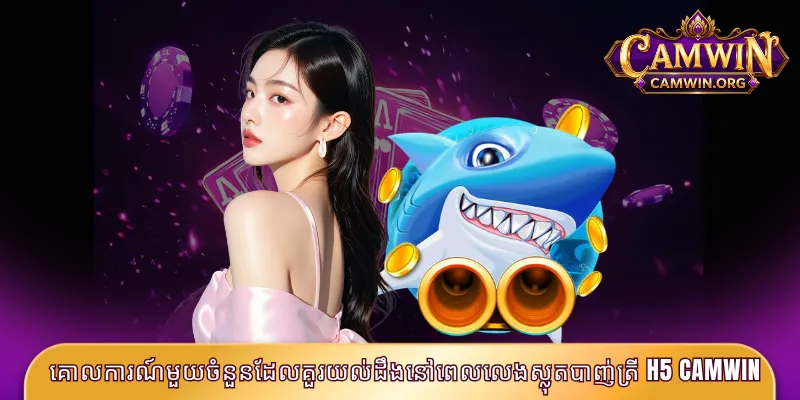គោលការណ៍មួយចំនួនដែលគួរយល់ដឹងនៅពេលលេងស្លុតបាញ់ត្រី H5 CAMWIN