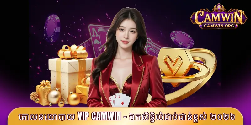 គោលនយោបាយ VIP