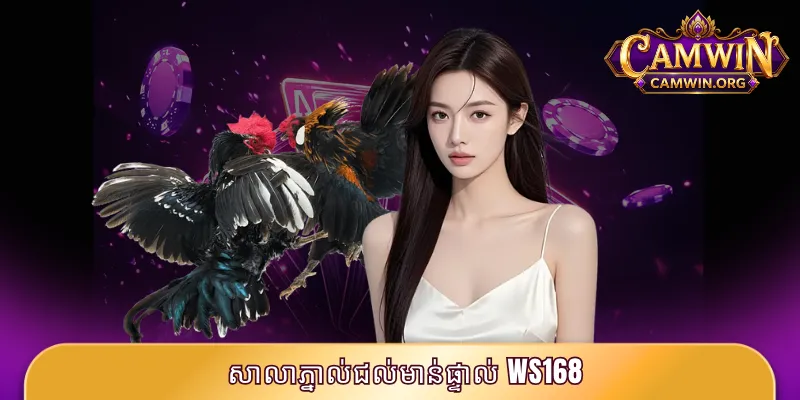 សាលាភ្នាល់ជល់មាន់ផ្ទាល់ WS168