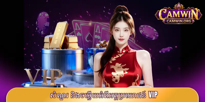 សំណួរ និងចម្លើយអំពីអត្ថប្រយោជន៍ VIP