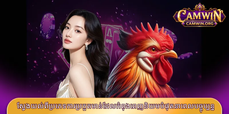 ស្វែងយល់ពីប្រភេទការប្រកួតមាន់ដែលកំពុងពេញនិយមបំផុតនាពេលបច្ចុប្បន្ន