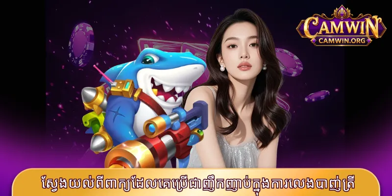 ស្វែងយល់ពីពាក្យដែលគេប្រើជាញឹកញាប់ក្នុងការលេងបាញ់ត្រី