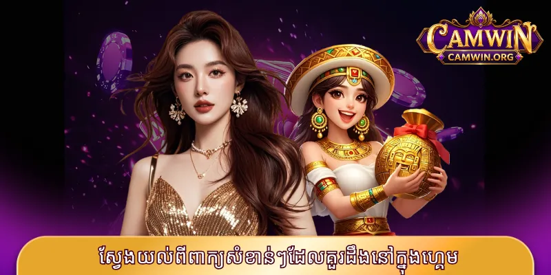 ស្វែងយល់ពីពាក្យសំខាន់ៗដែលគួរដឹងនៅក្នុងហ្គេម