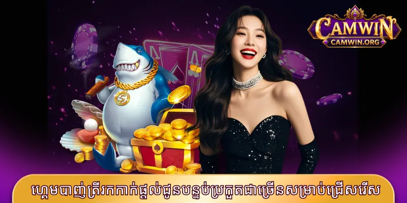 ហ្គេមបាញ់ត្រីរកកាក់ផ្តល់ជូនបន្ទប់ប្រកួតជាច្រើនសម្រាប់ជ្រើសរើស
